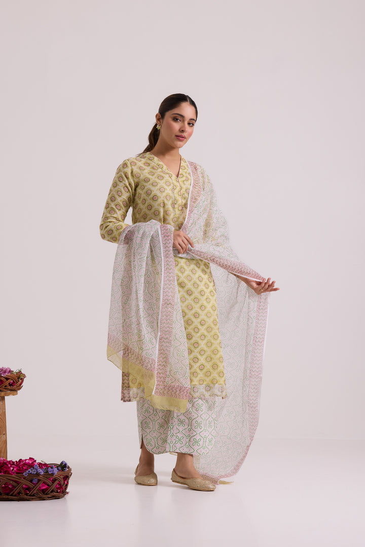 फूलWARI Olive Kota Doria Set of 3